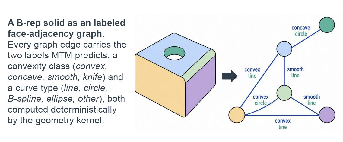 A B-rep solid shown as a labeled face-adjacency graph, with edges labeled by convexity class and curve type
